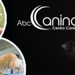 Abccanino - Centro Canino – Guardería Canina en Cenicero