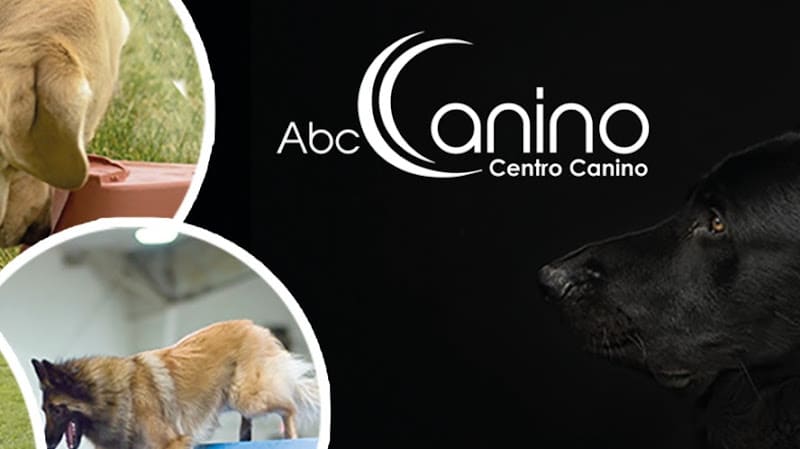 Abccanino - Centro Canino