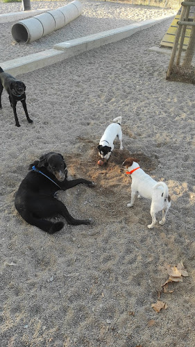 Adiestrador Canino Barcelona | Personal Trainer Dog