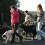 Akindi Bizkaia - Adiestramiento Canino – Guardería Canina en Gatica