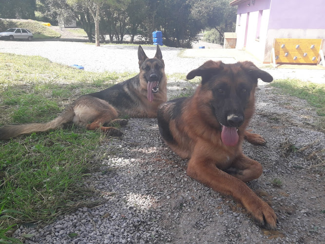 Akindi Cantabria– Hotel Canino