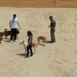 Akra-Can – Guardería Canina en Moralet