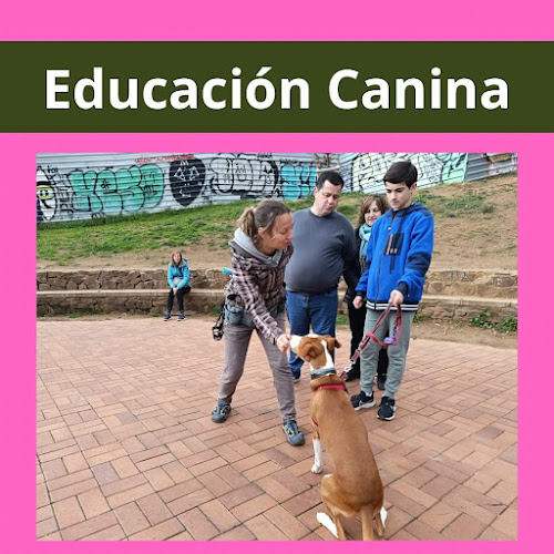 Albena Atseva_Educanplus