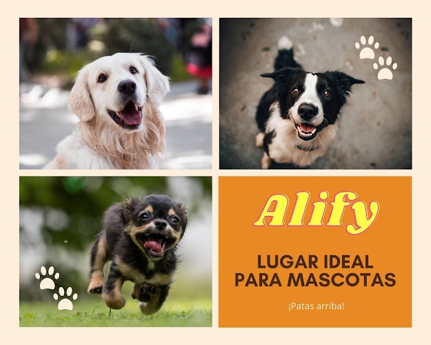 Negocio Alify Cuidadora De Mascotas Y Perros En Mallorca