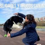 Anny And Dogs Educación Y Adiestramiento Canino Profesional – Guardería Canina en Santander