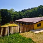Argain Residencia Canina – Guardería Canina en Latasa