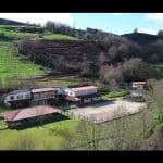 Ars Animalis – Guardería Canina en Castañeda