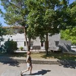 Aski Educacion Canina – Guardería Canina en Vitoria-Gasteiz