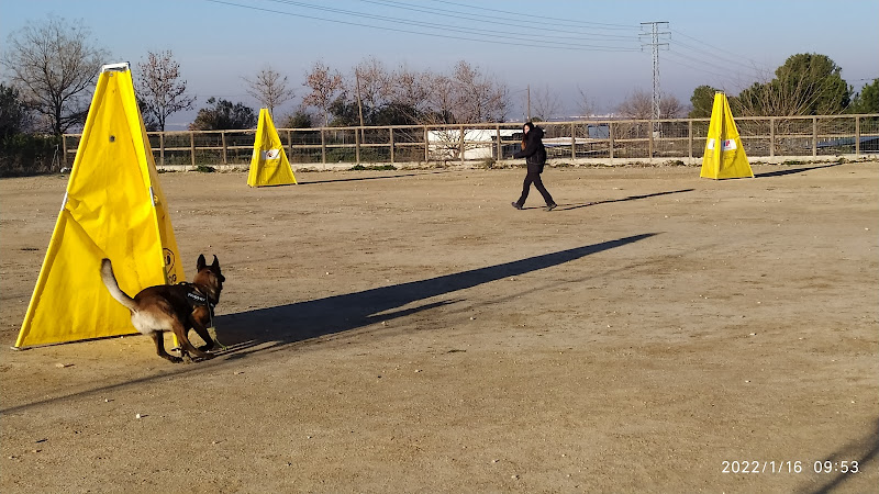 Negocio Asociación Centro Canino Dog Quijote