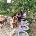 Bichiños - Hotel Canino – Guardería Canina en Coles