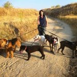 Boncan Educación Canina – Guardería Canina en Ciutat Vella