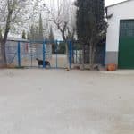 Bubacan Club Canino – Guardería Canina en Albacete