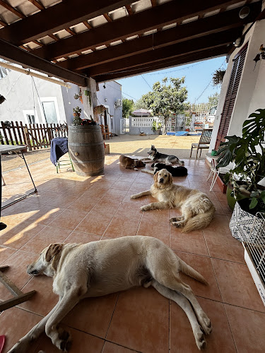 Ca Sa Nina Libres Y Felices Como En Casa