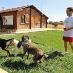 Campamento De Mascotas – Guardería Canina en La Torre de Esteban Hambrán