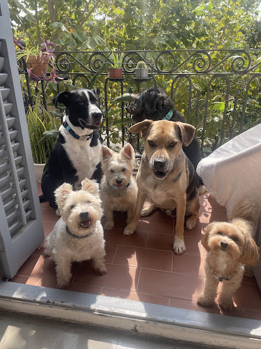 Negocio Canhijos Barcelona