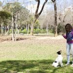 Canidos Training – Guardería Canina en Sevilla