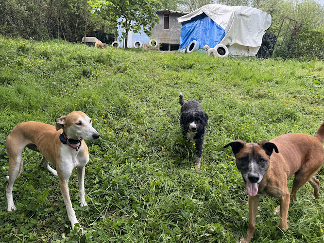 Canin Trail