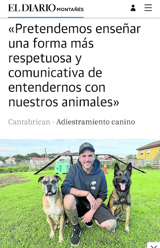 Cantabrican Adiestramiento Canino