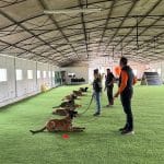 Canuber Educación Canina Y Guardería – Guardería Canina en Sardón de Duero