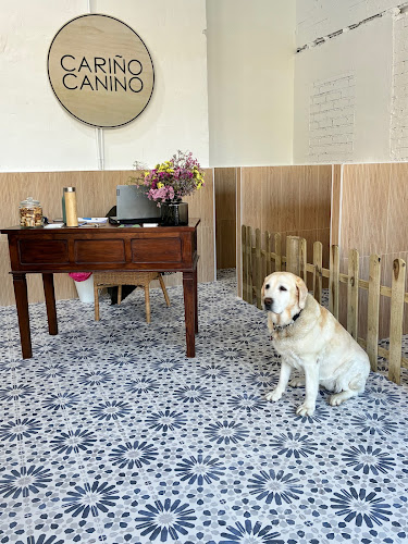 Cariño Canino