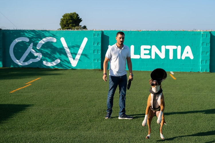 Negocio Ccv Centro Canino Valentia