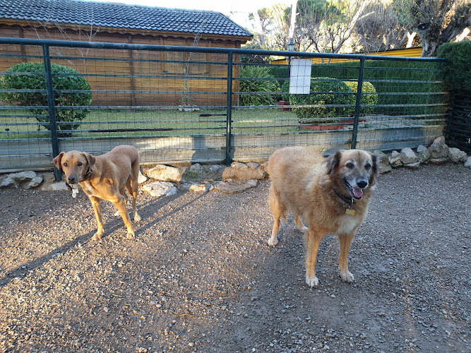 Negocio Centro Canino Acc