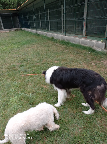 Negocio Centro Canino Alea Can