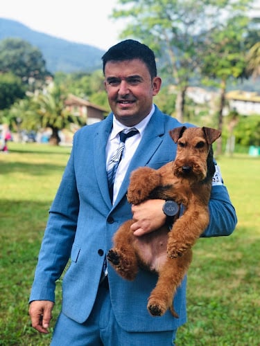 Negocio Centro Canino Besaya