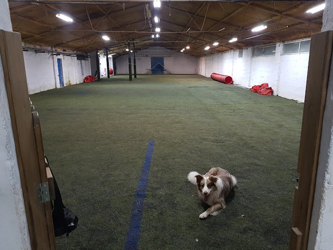 Negocio Centro Canino Canedupo Ponteareas