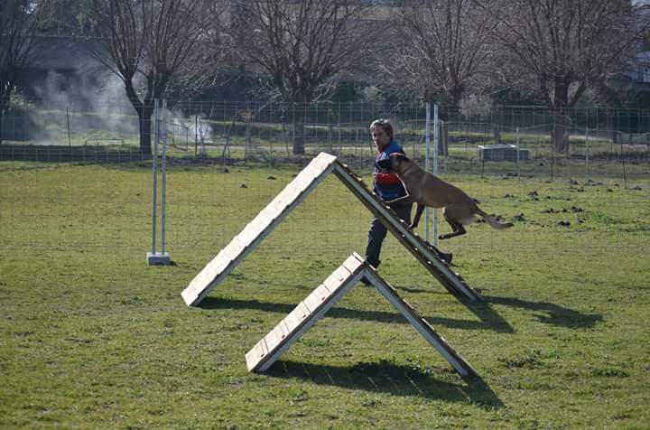 Centro Canino Conducan