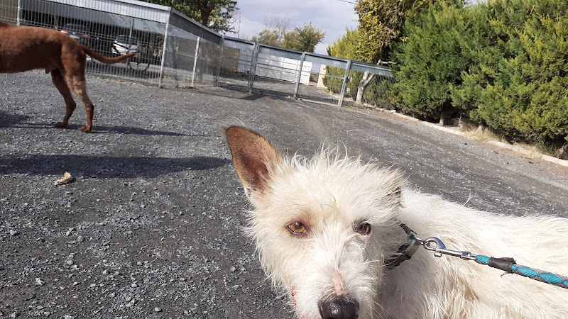 Negocio Centro Canino De Tudela