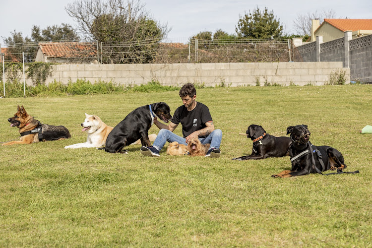 Negocio Centro Canino Educando
