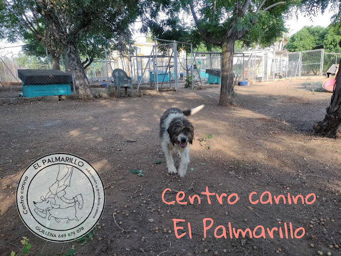 Centro Canino El Palmarillo