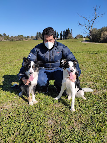 Negocio Centro Canino Es Vinyet.