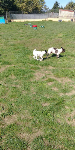 Centro Canino Indartxu