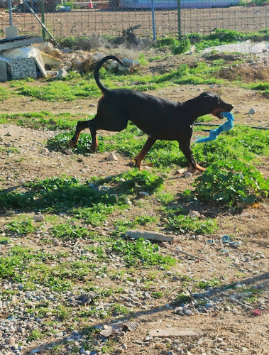 Negocio Centro Canino La Senda