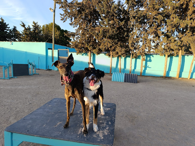 Negocio Centro Canino Los Árboles