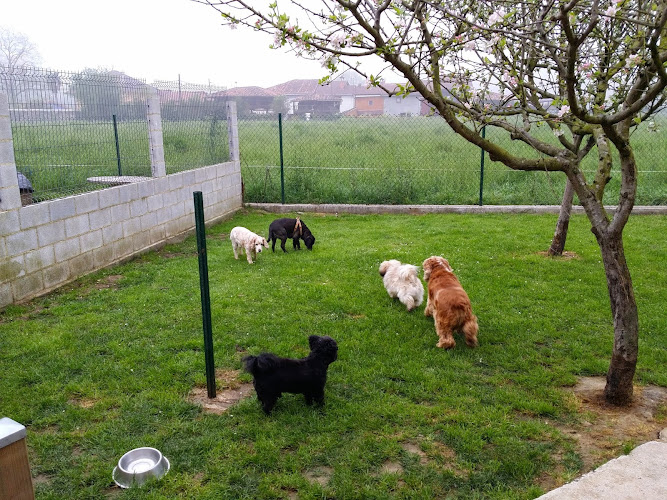 Negocio Centro Canino Los Ferreros