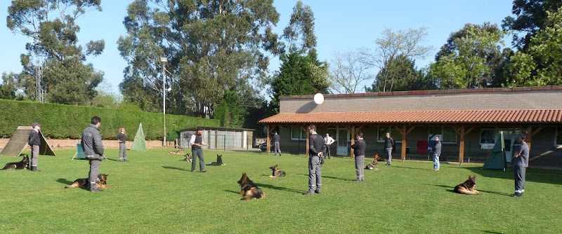 Negocio Centro Canino Parayas (Cecapa)