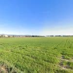 Centro Canino Prado Norte – Guardería Canina en Algete