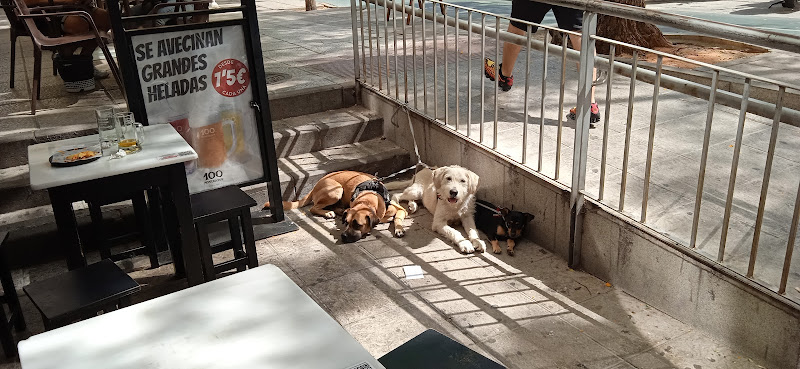 Centro Canino Sport-Dog