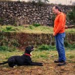 Centro Canino Tangoway – Guardería Canina en El Portezuelo