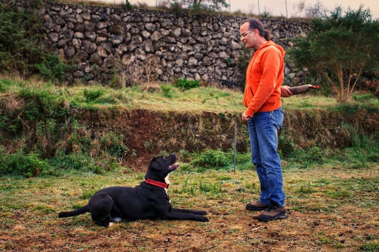 Negocio Centro Canino Tangoway