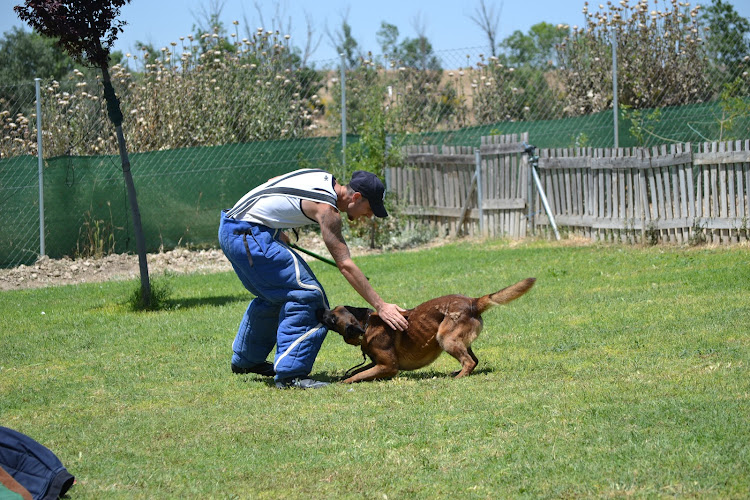 Negocio Centro Canino Toracan