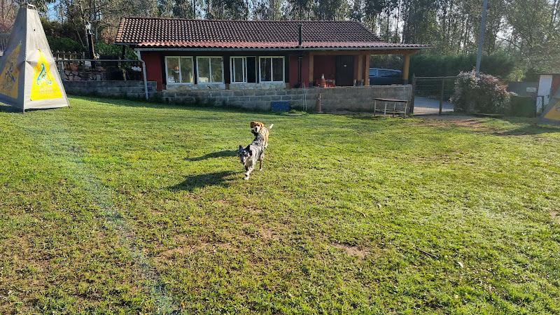 Centro Canino Trisquel