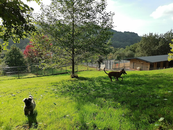 Centro Canino Valdáliga