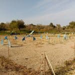 Club Agility Artà – Guardería Canina en Artà