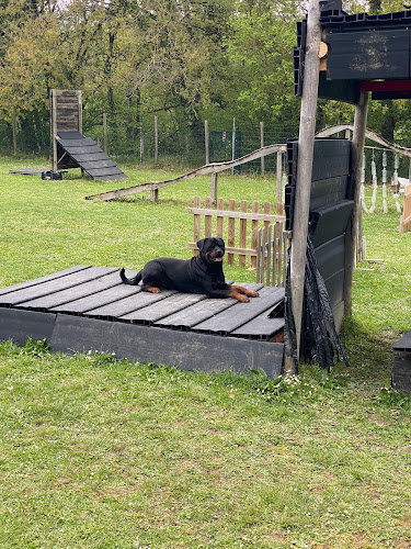 Club Txapeldun