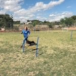 Colita | Adiestramiento Canino – Guardería Canina en Náquera