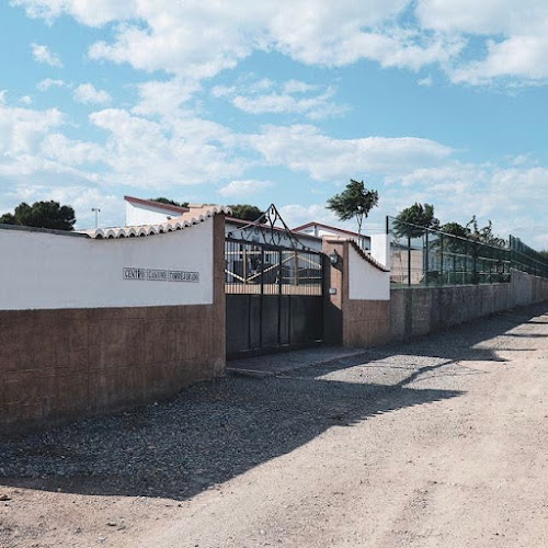 Negocio Colita | Residencia Canina